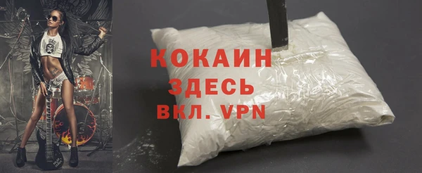 сатива Богданович