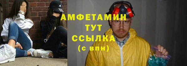 сатива Богданович