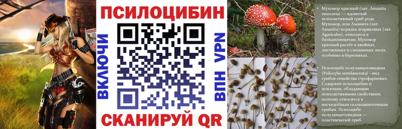 Галлюциногенные грибы Psilocybine cubensis  Няндома 