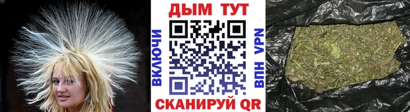 Каннабис SATIVA & INDICA  omg ссылки  Няндома 